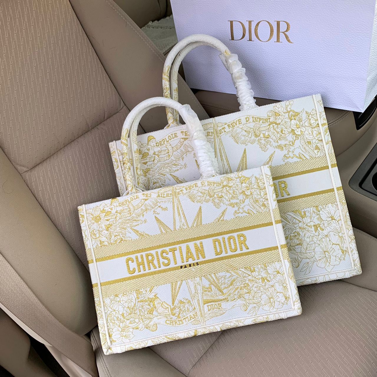Large Dior Book Tote Bag
