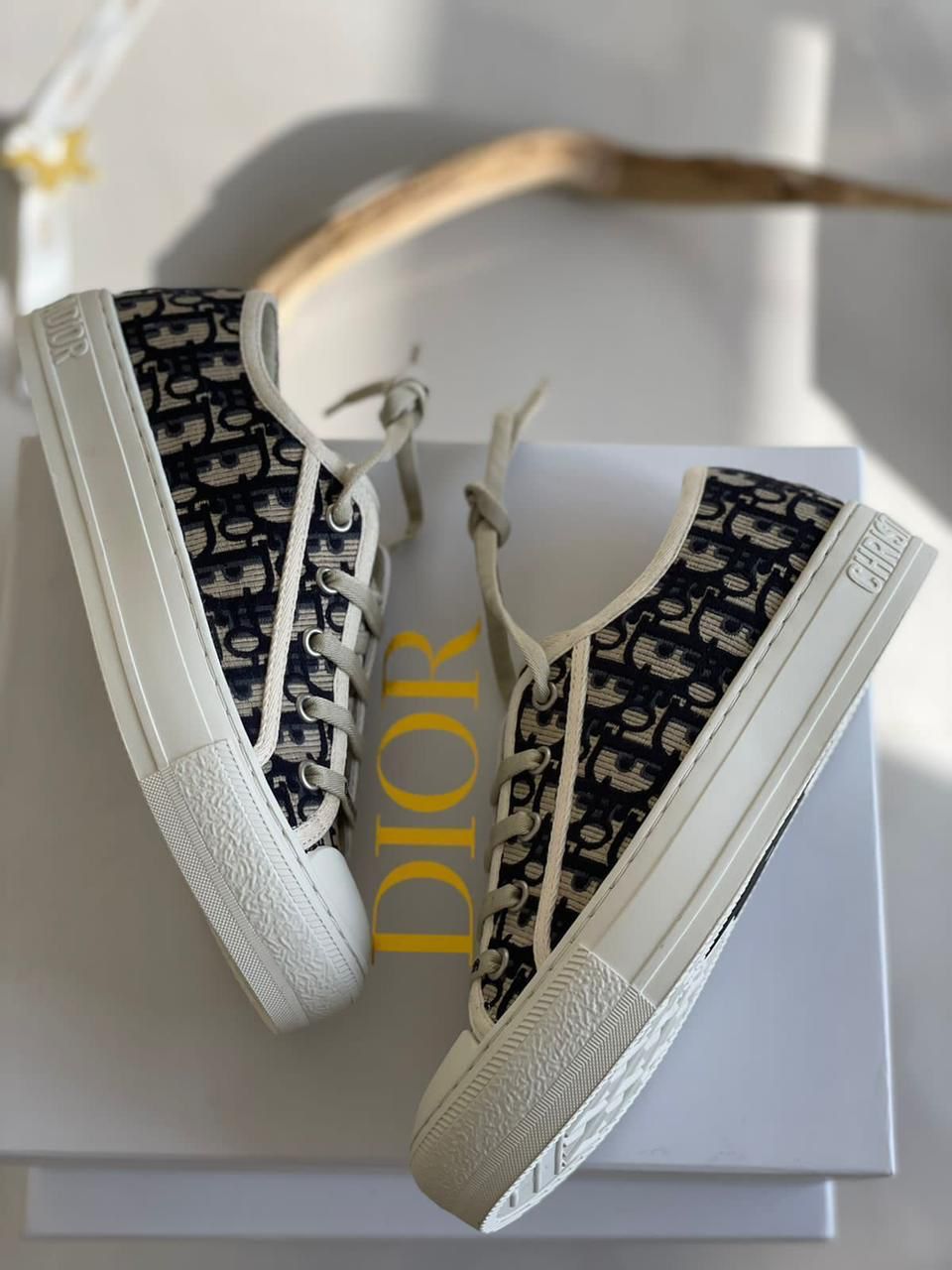 Dior Walk’n’Dior shoes