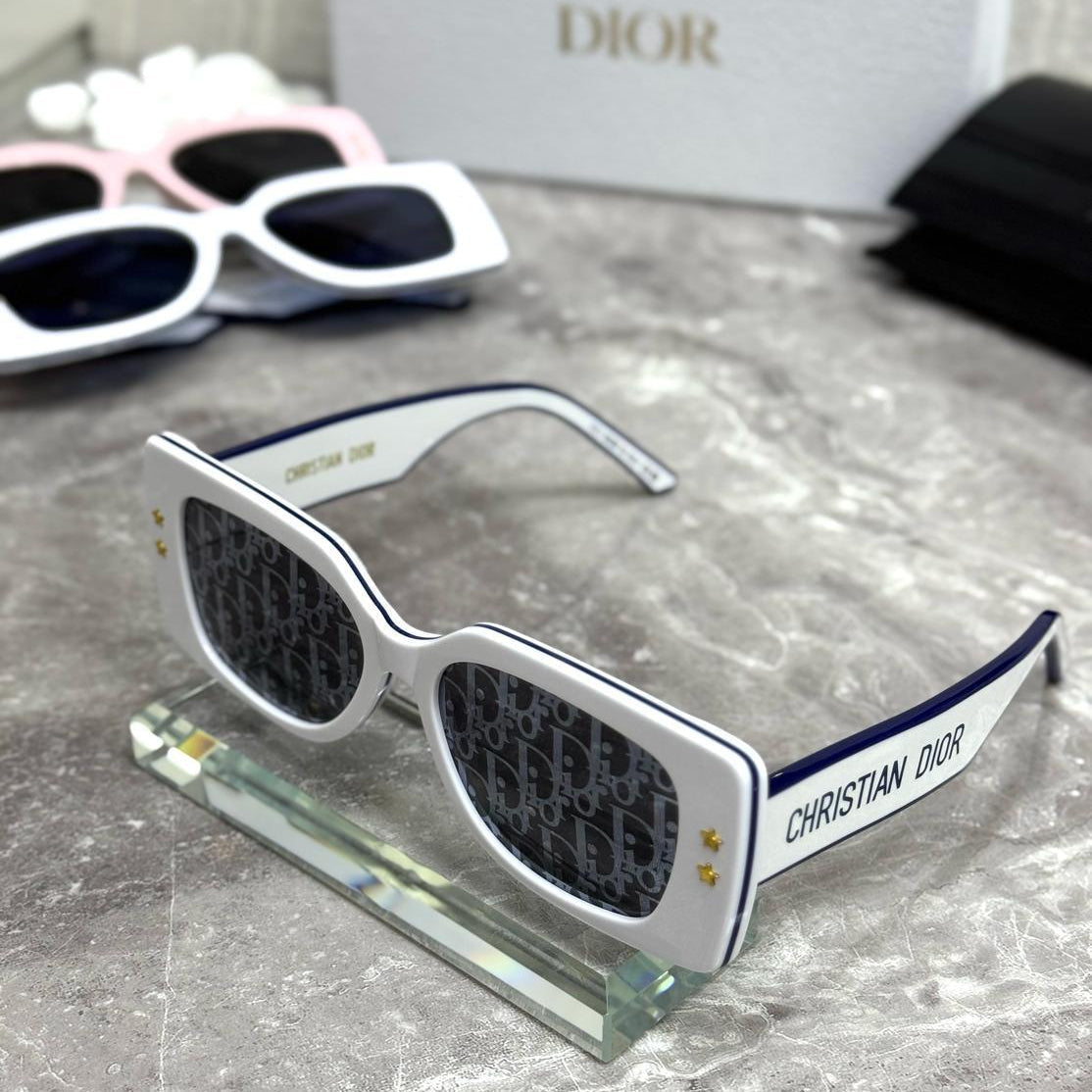 Dior Signature B1U Sunglasses
