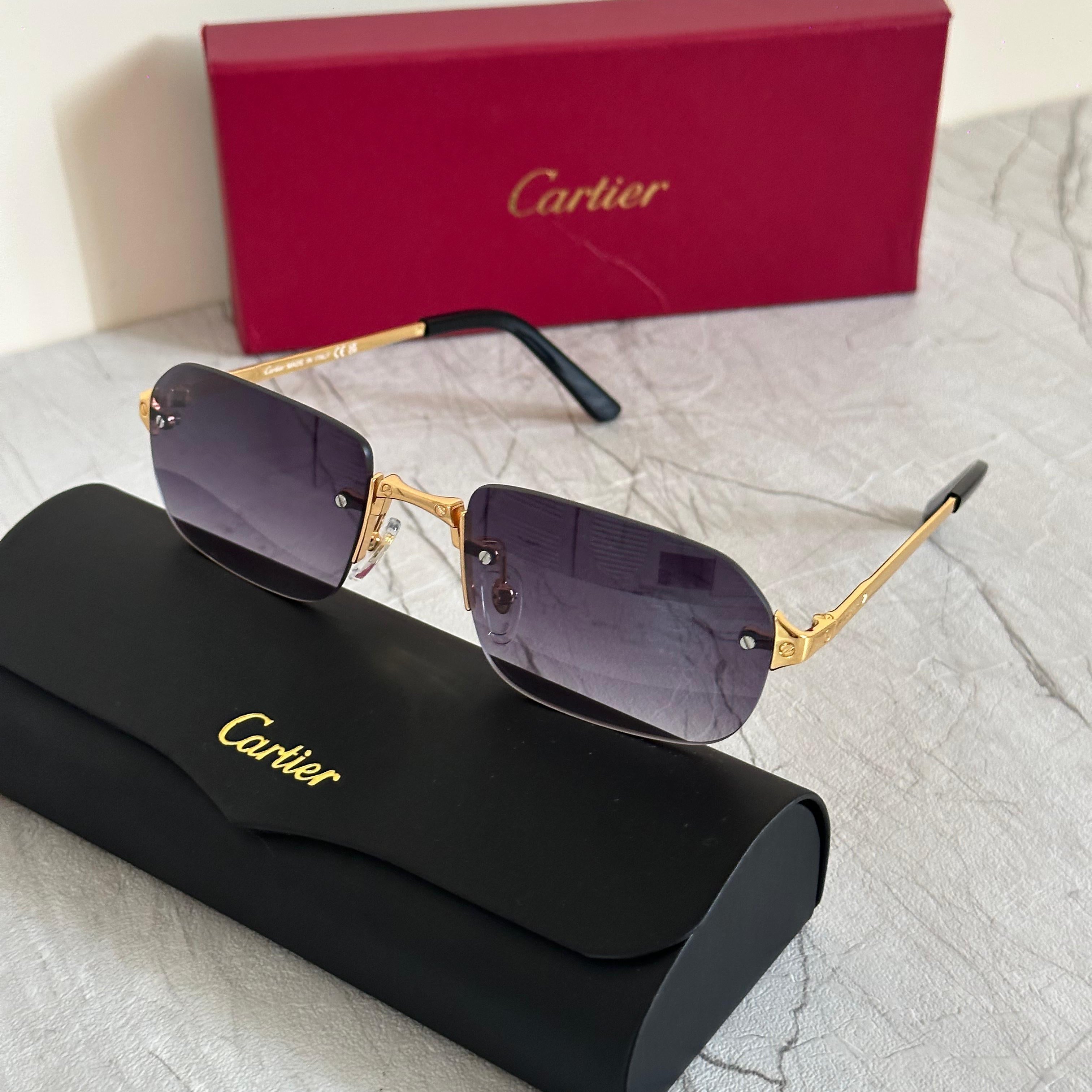 Cartier CT0092S Santos de Cartier Sunglasses
