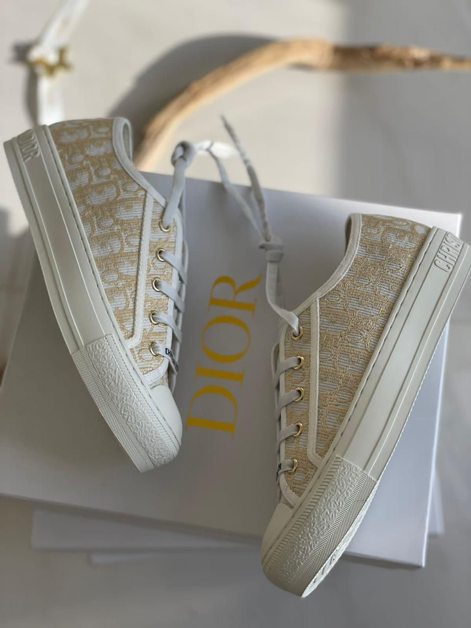 Dior Walk’n’Dior shoes