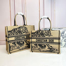 Medium Dior Book Tote Bag