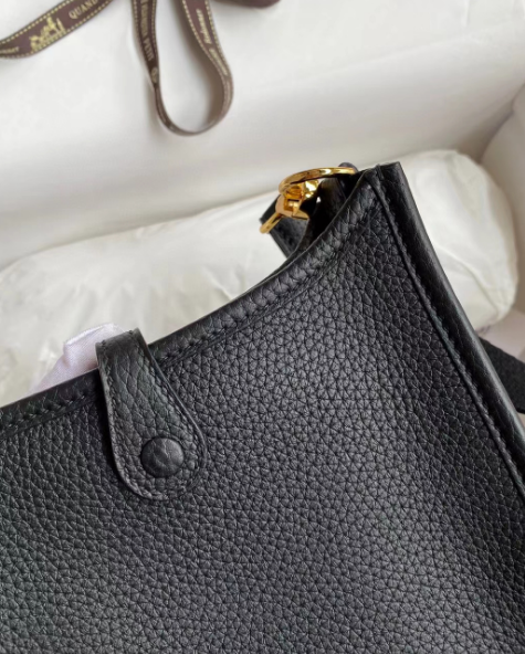 Hermes Evelyne Bag