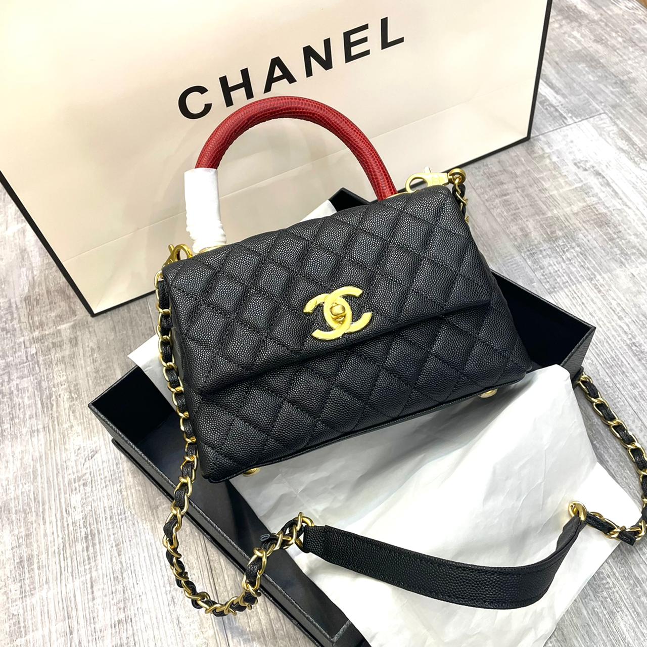 Black Maroon Handel / 20Cm