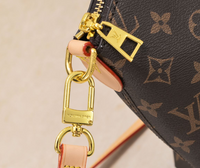 Louis Vuitton Boét Bag