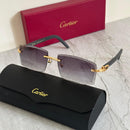 Cartier CT0046S Rimless Gradient Sunglasses