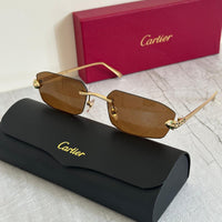 Cartier CT0282S Rectangular Rimless Sunglasses