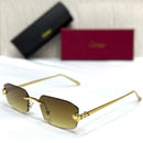 Cartier CT0323S Panthère Rimless Sunglasses