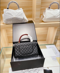 Chanel Coco Handle Bag