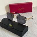 Cartier CT0046S Rimless Sunglasses