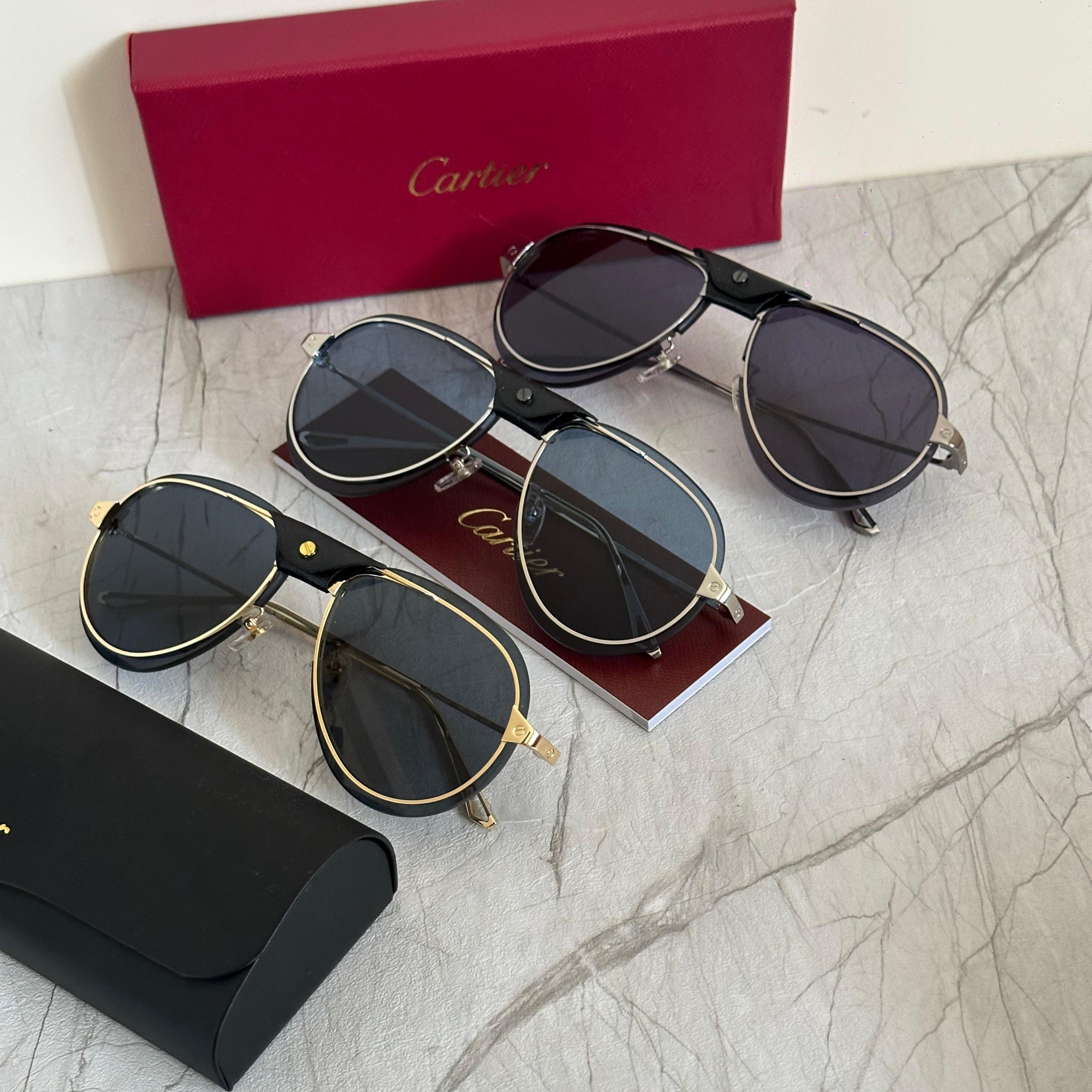 Cartier CT0046S Santos de Cartier Pilot Sunglasses