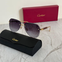 Cartier CT0040RS Rimless Sunglasses