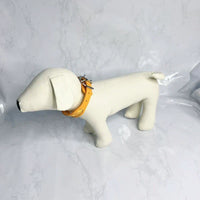 Regal Paws Collar